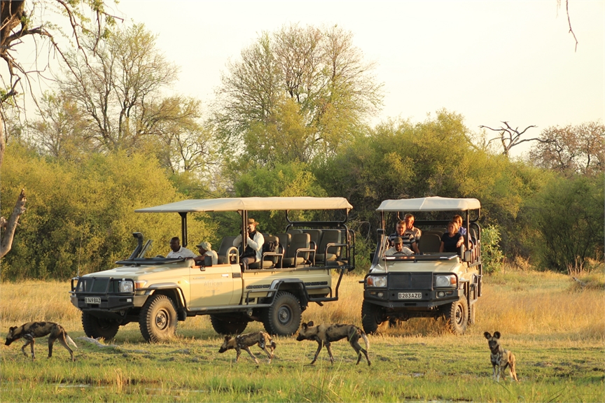 Safari landscape in Botswana